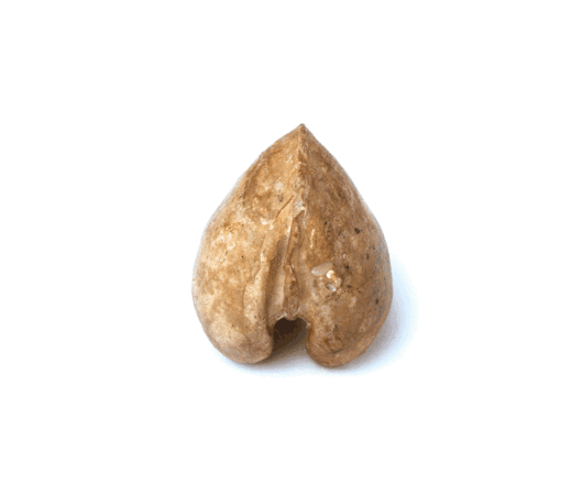 predmeti-prirode
